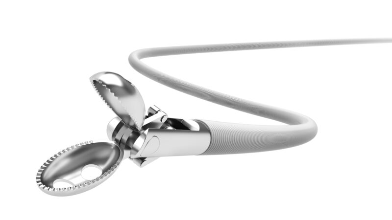 Pinza multiprelievo per resezione polipi diminutivi – Leviathan