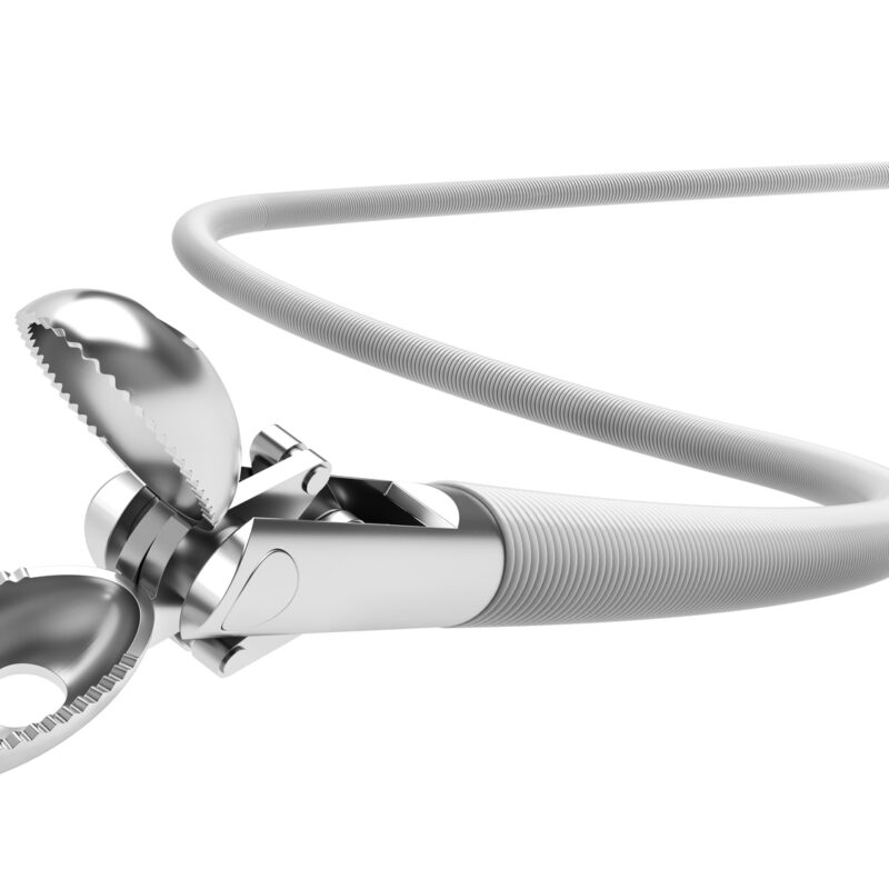 Pinza multiprelievo per resezione polipi diminutivi – Leviathan